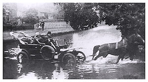 Recovery by Horse